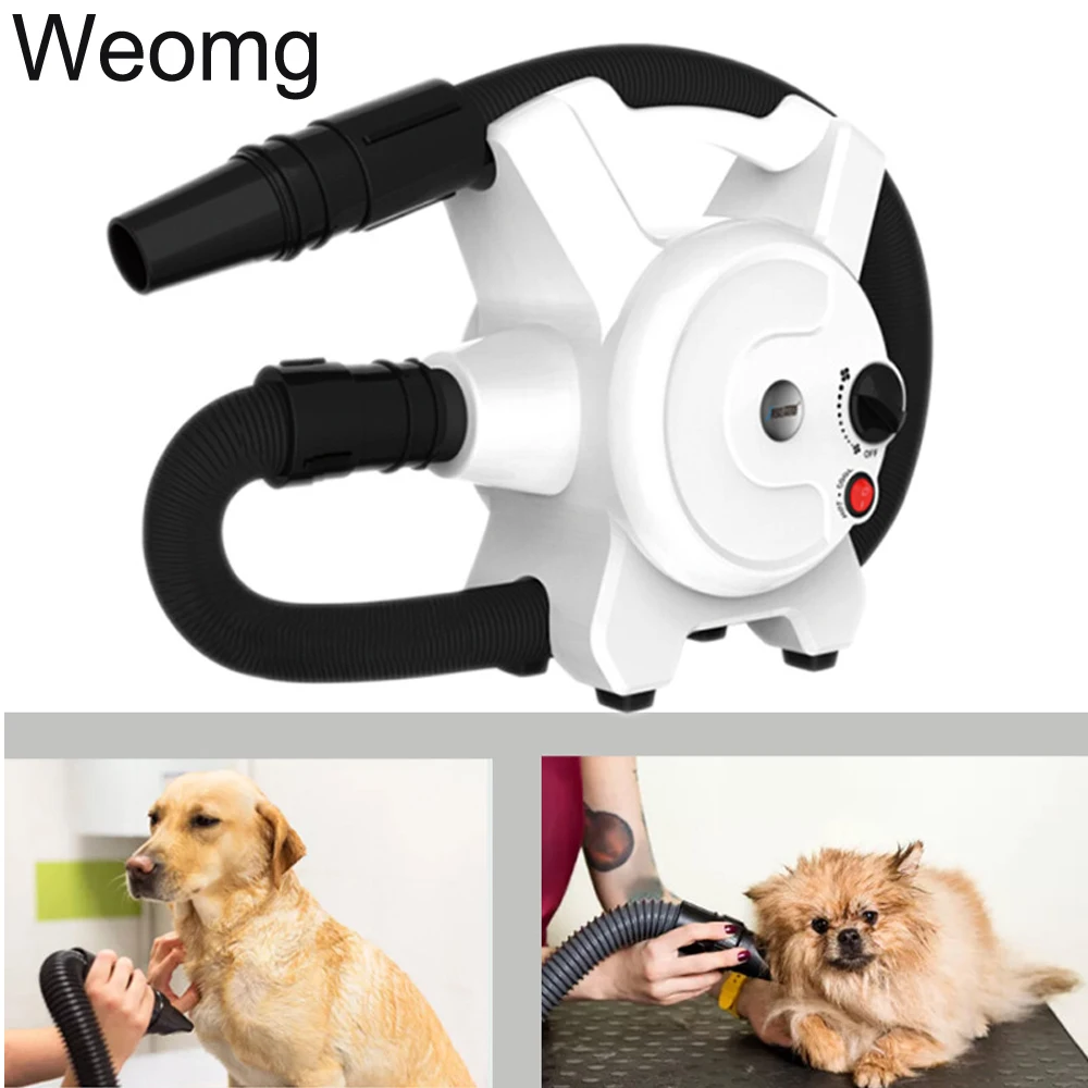 Powerful Pet Hair Dryer For Dogs Pet Cat Grooming Blower Warm Wind Secador Fast Blow-dryer For Small Medium Large Dog Dryer