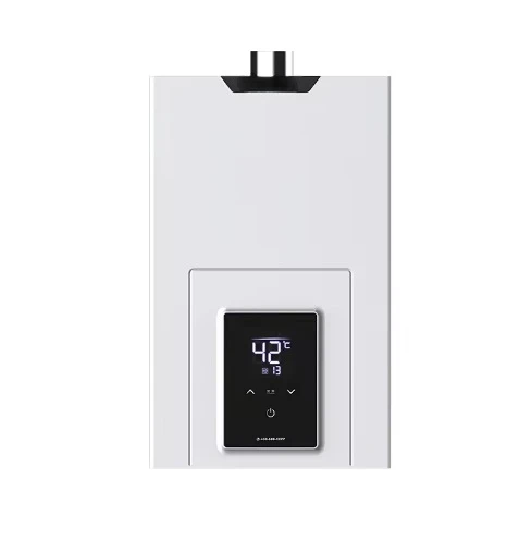 Smart Indoor Gas Hot Water Heater 6L-20L High Quality Low Priced NG/LPG Instant Steel Copper Heat Exchanger Bathroom