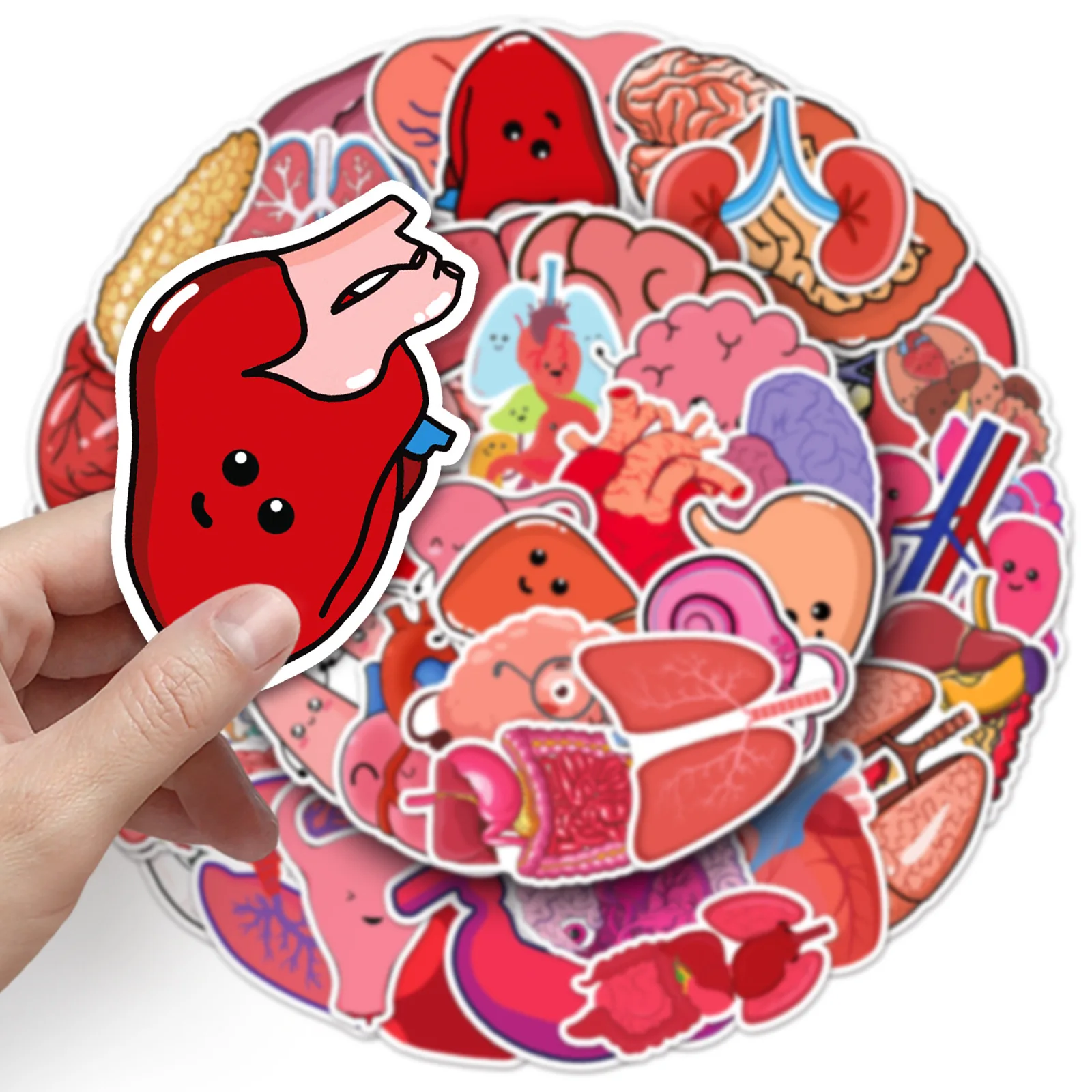 50Pcs Cartoon Human Organs Series Graffiti Stickers Suitable for Laptop Helmets Desktop Decoration DIY Stickers Toys Wholesale