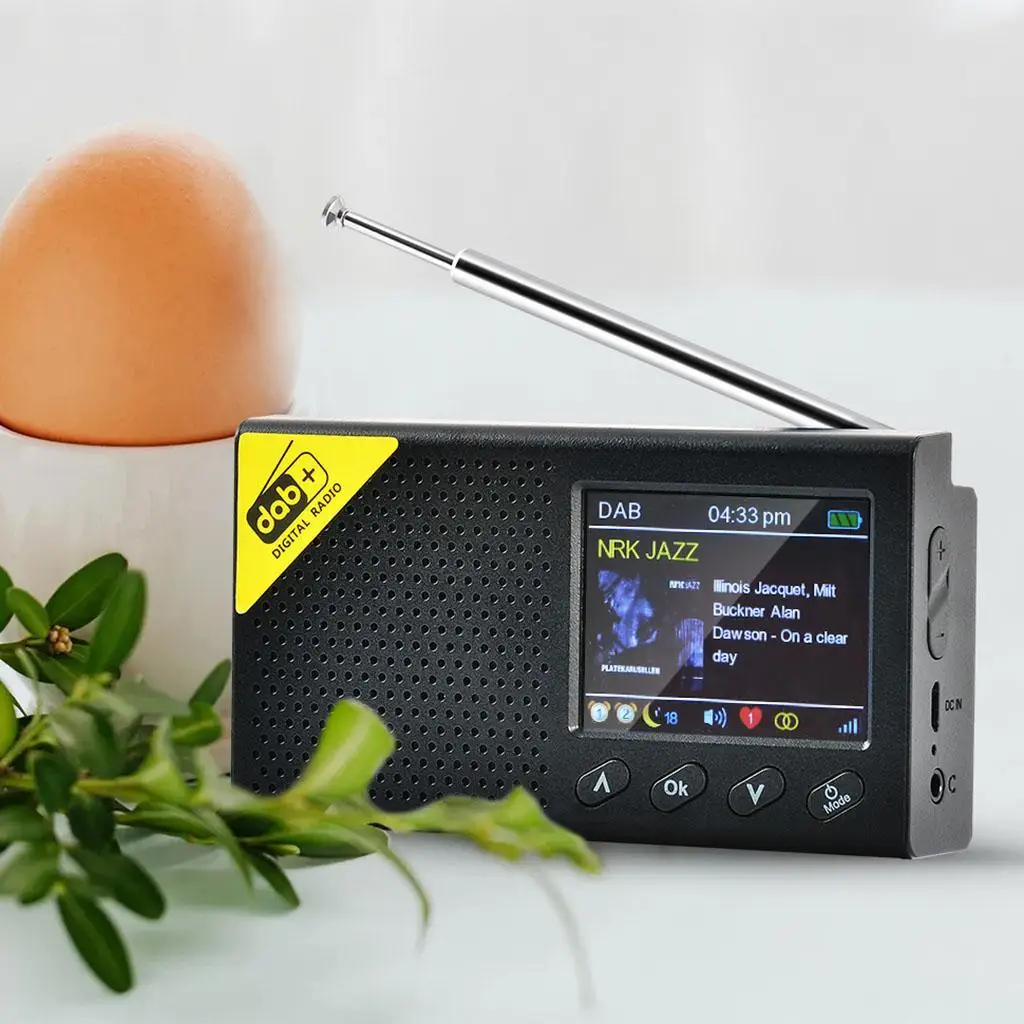 Digital Portable DAB/ Radio Speaker, Rechargeable Battery Compact Radio for Kitchen Garden