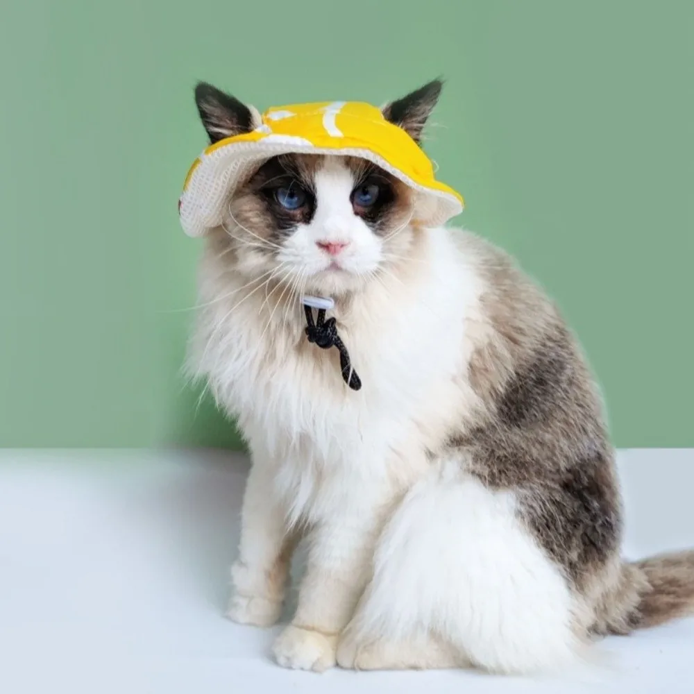 Fashion Breathable Pet Sun Hat with Ear Holes Adjustable Cat Fisherman Hat Lightweight Fruit Print Pet Visor Hat Summer Outing