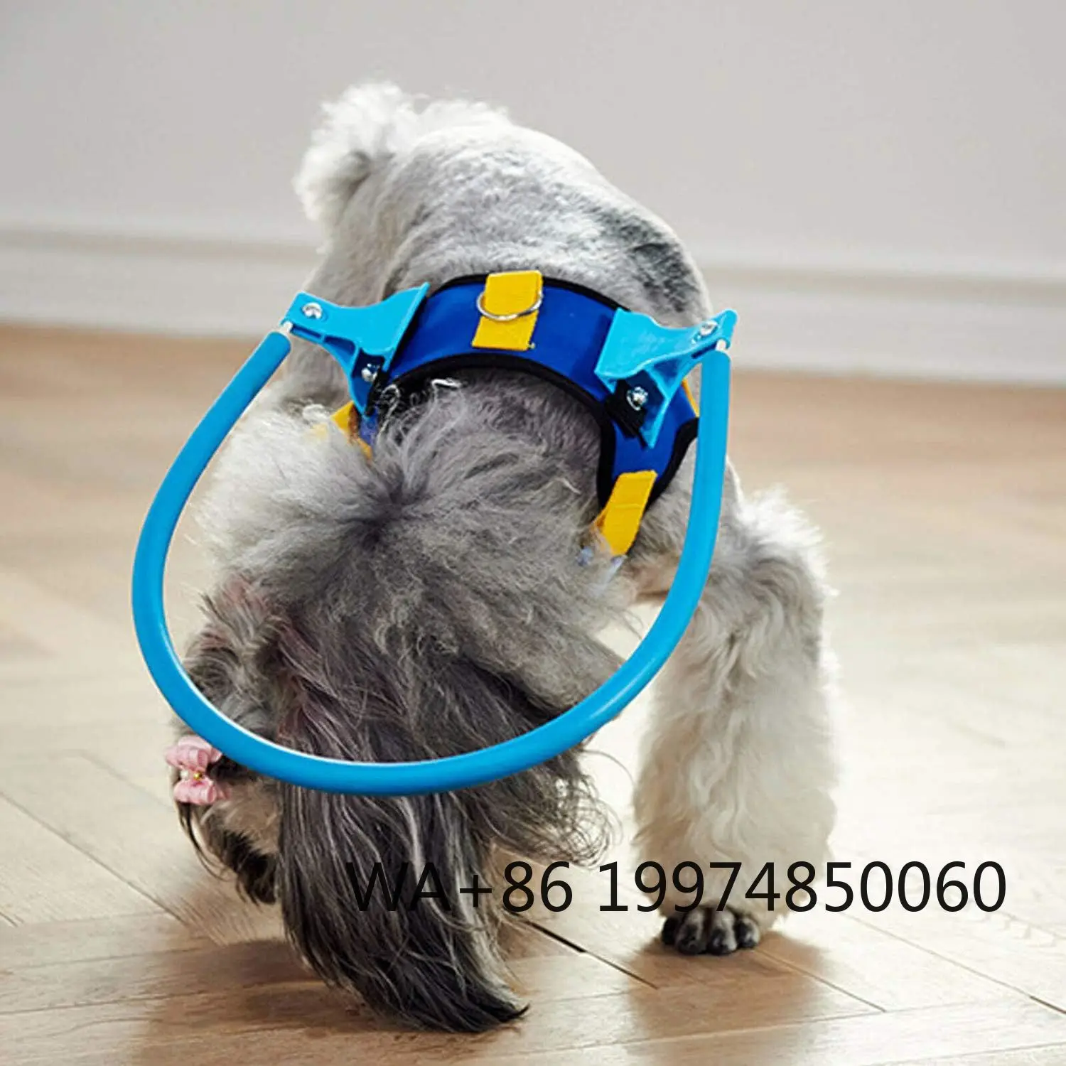 anillo-guia-protector-anticolision-ajustable-halo-seguro-para-perros-de-vision-ciega-y-pobre-instrumento-veterinario