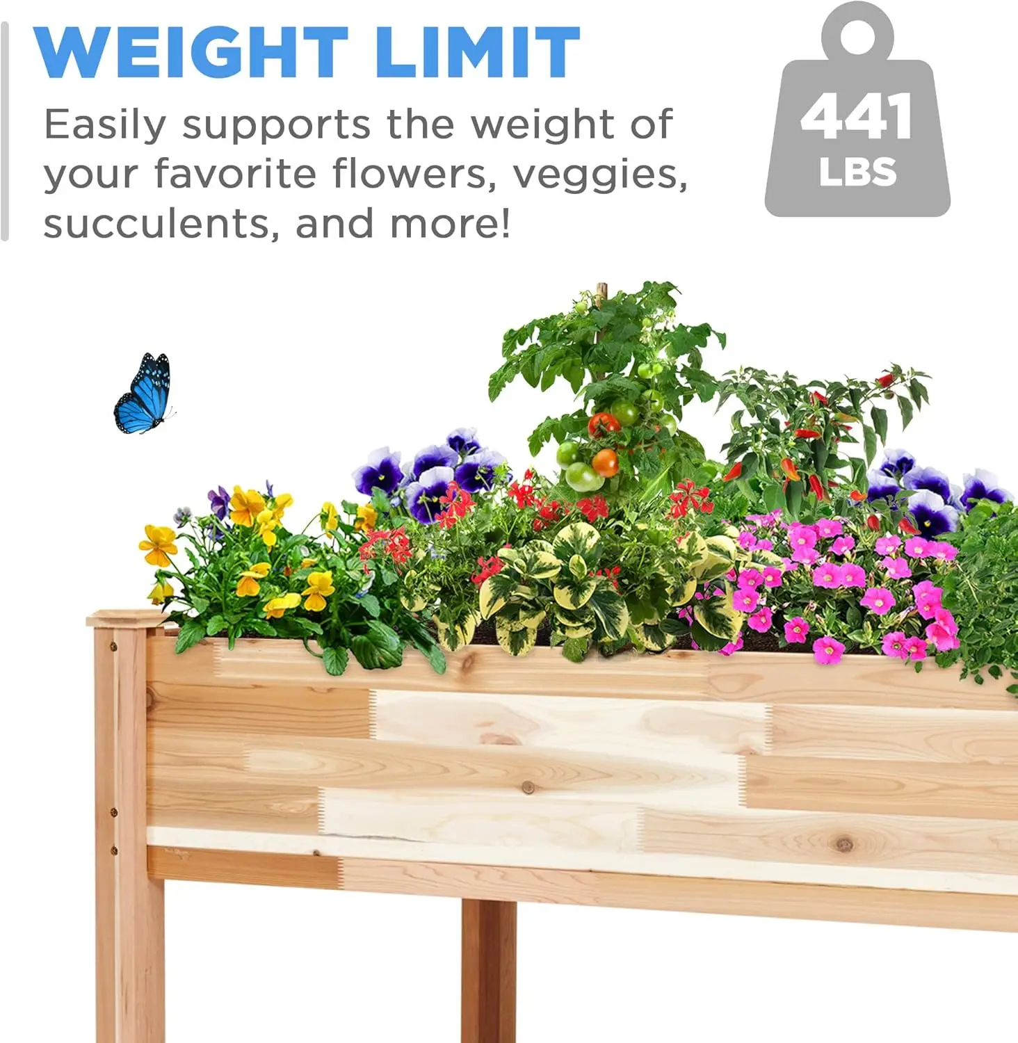 Raised Canadian Cedar Garden Bed | Elevated Wood Planter for Growing Fresh Herbs, Vegetables