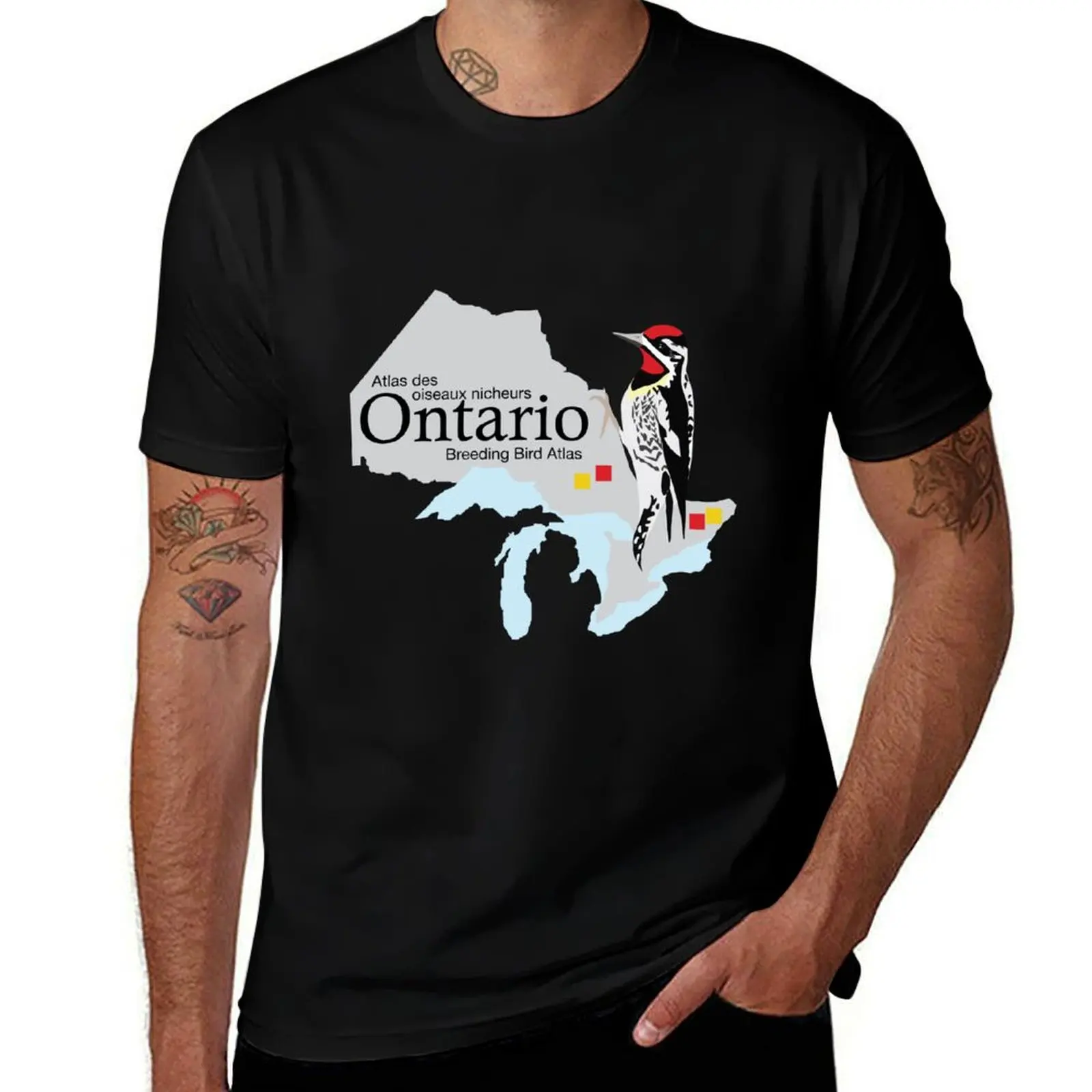 

Ontario Breeding Bird Atlas Standard Logo T-Shirt Large Size Soft Cotton T-Shirt