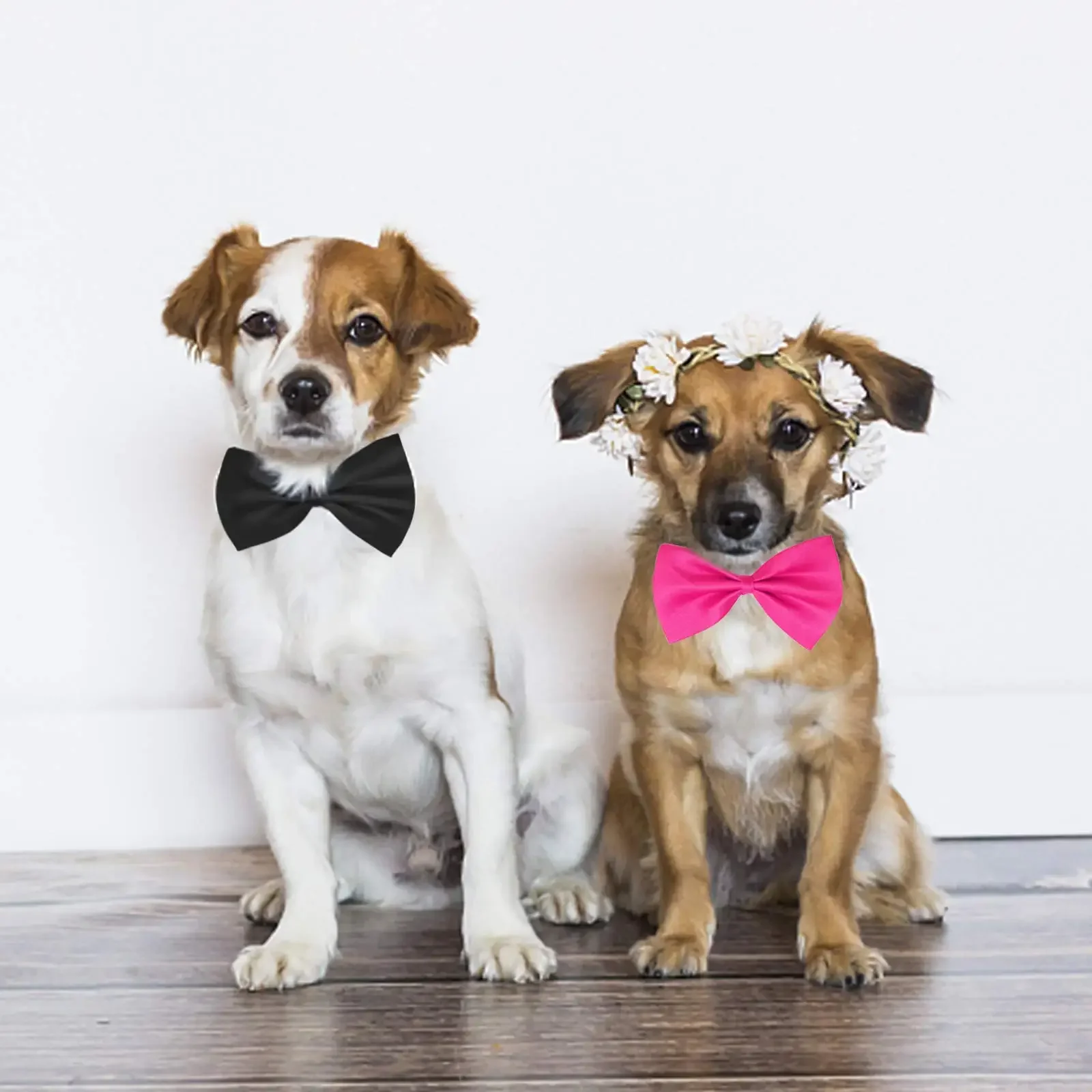 50/100pcs Assorted Color Adjustable Dog Bowties Pet Grooming Accessories for Cats And Small Rabbits Wholesale Pet Supplies