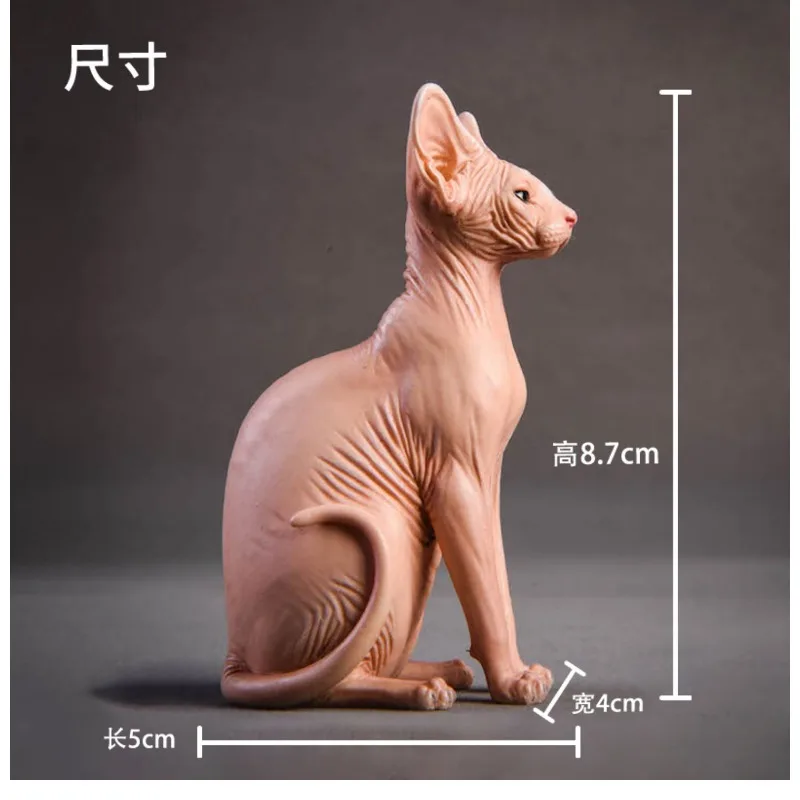 Figurka kota bezwłosego kanadyjskiego w skali 1/6, model zwierzęcia, statuetka, symulacja, żywica, ozdoba, kolekcja.