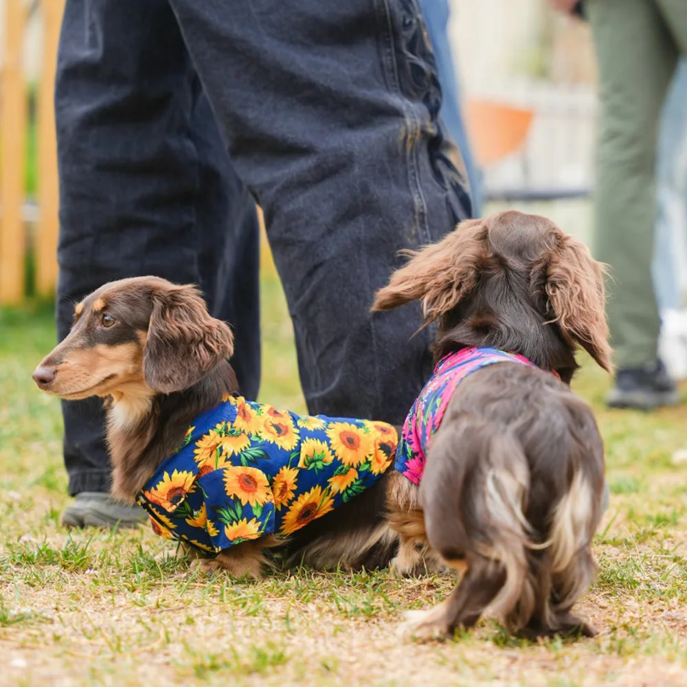 Camiseta de algodón estampado floral para perro salchicha sin mangas - imagen 4