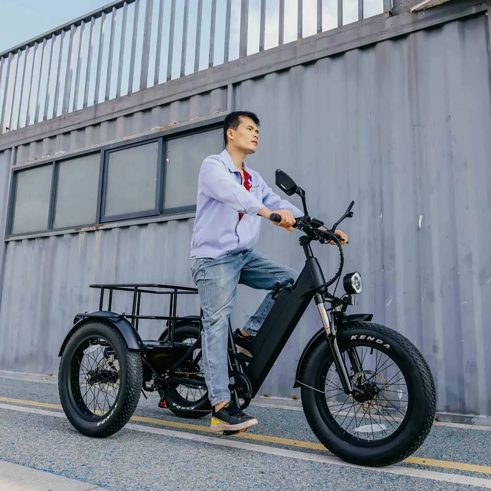 popular 3 wheel electric bicycle 250w fat tire electric tricycle adult electric tricycle