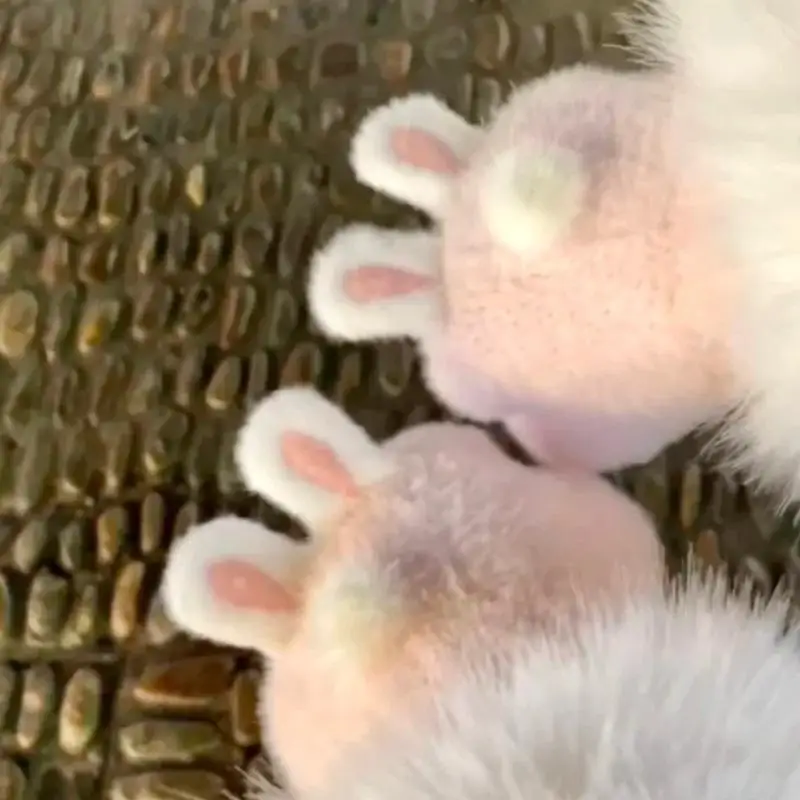 لطيف الوردي أرنب القط الأذن بوم بوم قفازات قطيفة الباردة واقية قفازات طالب شتاء دافئ خمسة أصابع قفازات النساء الإكسسوارات هدية عيد الميلاد