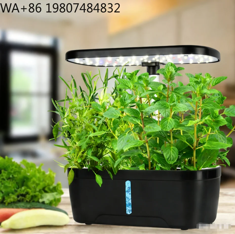 6-hole Mini Desktop Soilless Cultivation Kit Full Spectrum LED Fill Light  Indoor Balcony Herb Vegetable Small Space Hydroponic