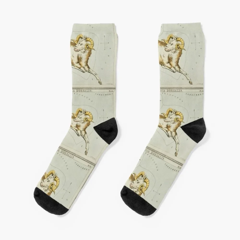 

Aries Constellation Socks moving stockings Stockings man Girl'S Socks Men's