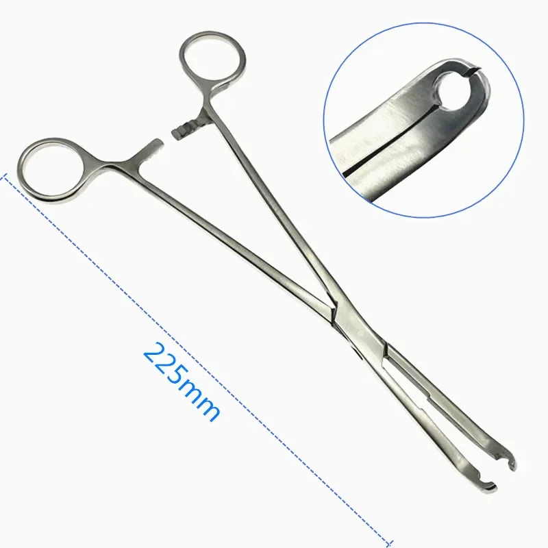 

QSWTITAN Bone Screw Holder Bone Screws Holding Forcep 5mm/6mm/8mm Orthopedics Veterinary Instrument