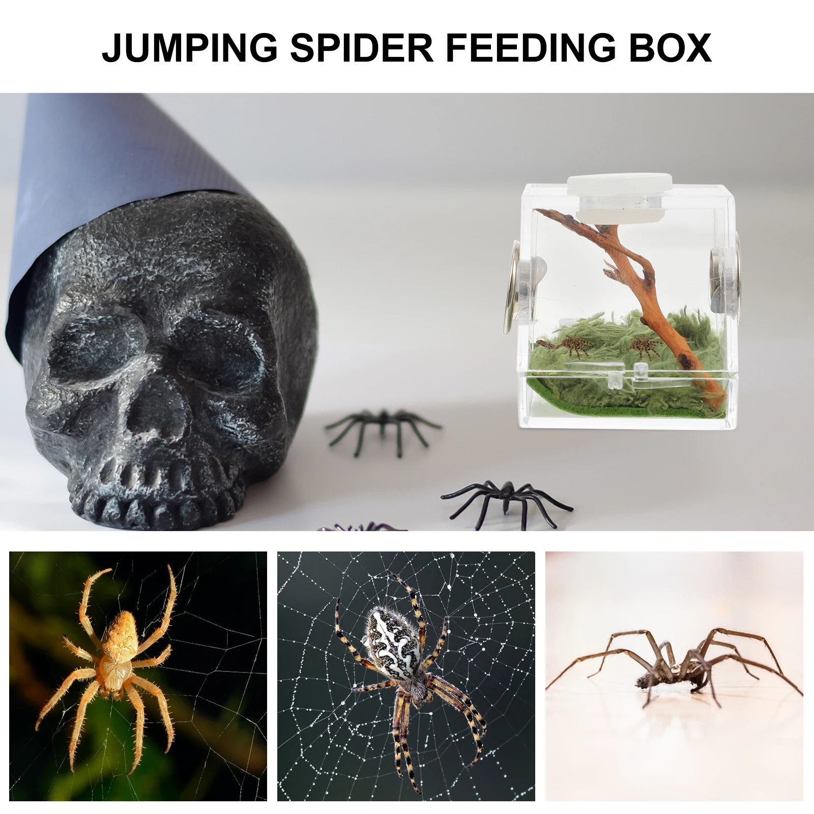

1pcs High Transparent Jumping Spider Habitat Box Leak-Proof Durable Insect Cage Strong Observation Enclosure Easy Clean Feed