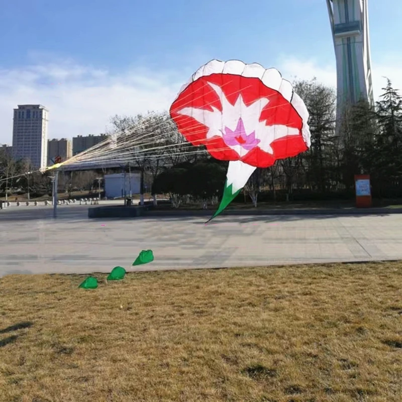 대형 연, 부드러운 연, 아침광채 풍선 연, 비행 장난감, 세르프 볼란트 성인용 연, 바람 연, 야외 게임