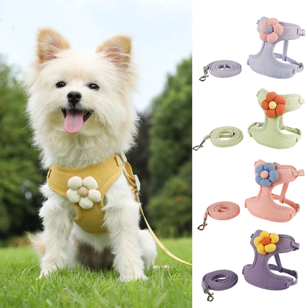 

Dog Harness with Leash Set Adjustable Pet Harness For Puppy Cats Small Medium Breeds Outdoor Walking Leash Combos