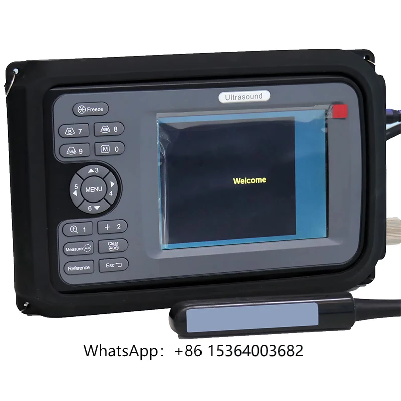 

Professional and High Quality Handheld Diagnostic Veterinary Ultrasound Scanner Machine for Animals
