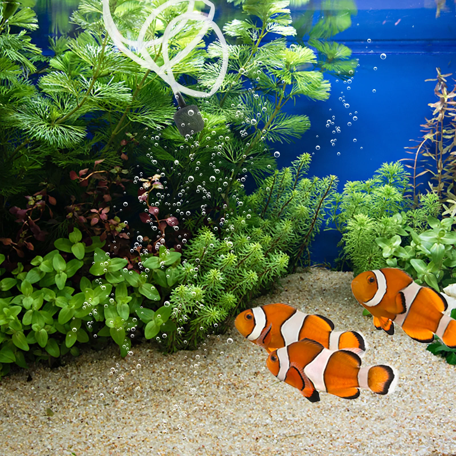 

Aquarium Water Pump Accessories Air Mini Oxygen Pumps Fish Tank Portable Fishing Usb for