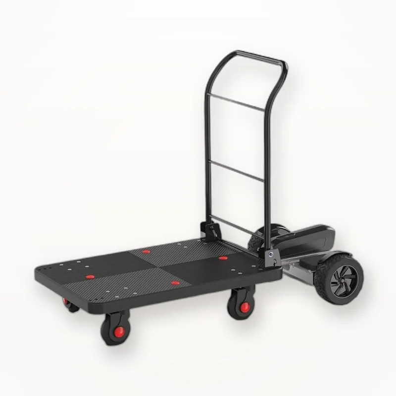 Self Balance Scooters Electric Somatosensory 600W 820W 36V 48V 90x60cm 30-60km built with featuring Trolley Quick Release