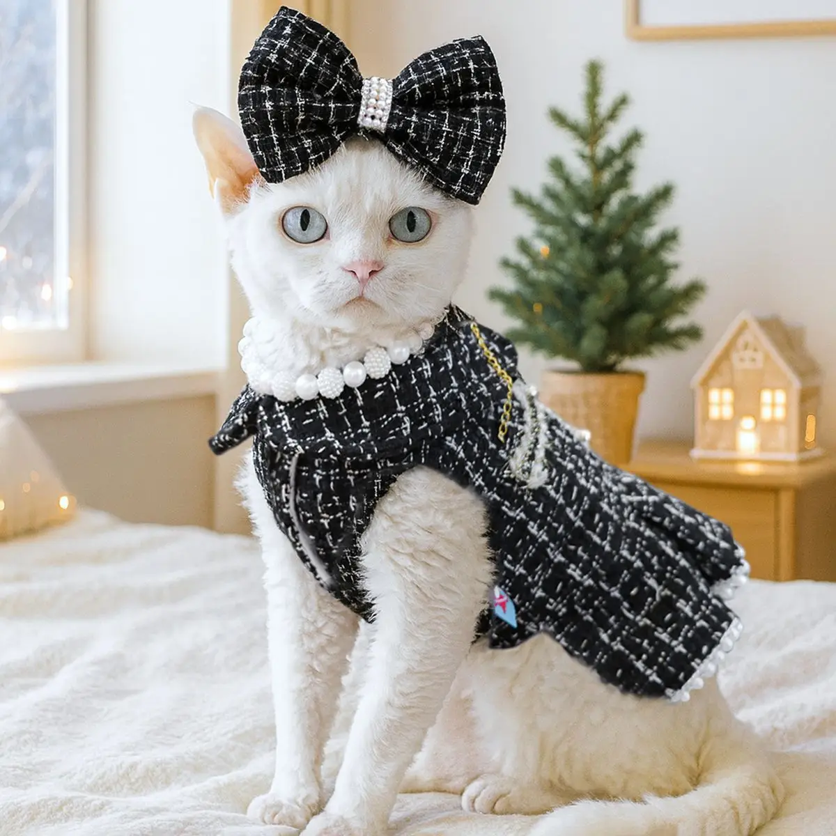 Luxury Princess Coat Set 2