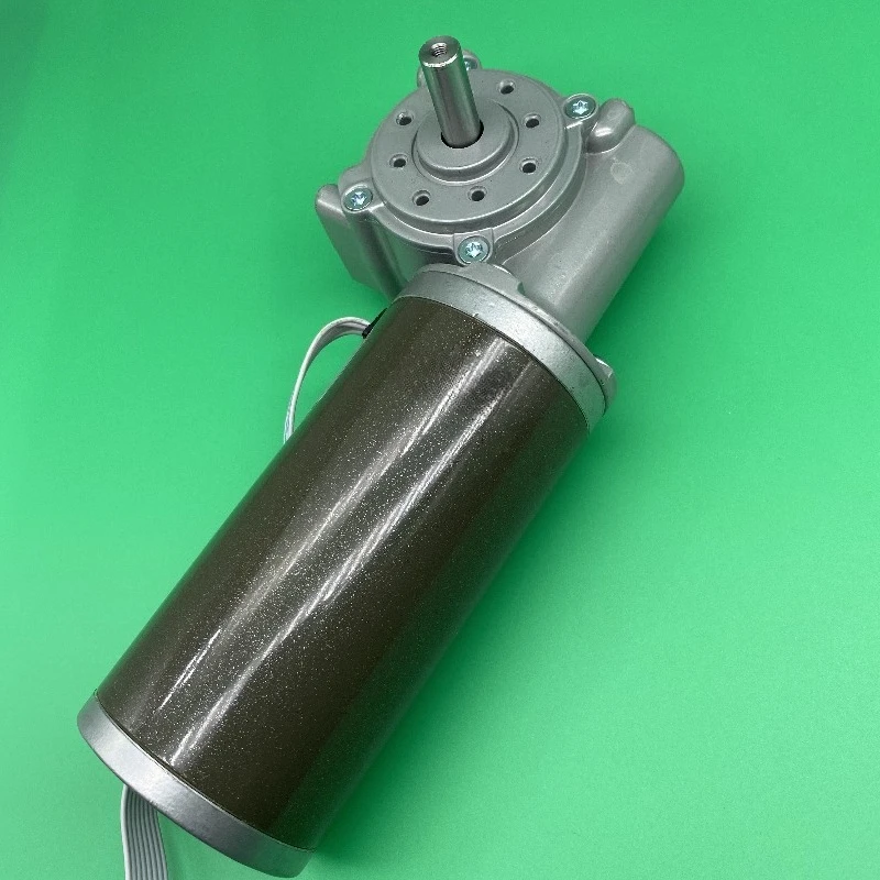 DC brushless 63ZWN24-100-G/63WJ motor automatic door motor