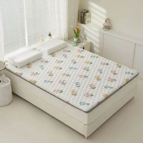 Double-Sided Matress Soft Pad Student Dormitory Single Person Cool Mat Grass Mat Summer Winter Use Foldable Golden Luohe Brand