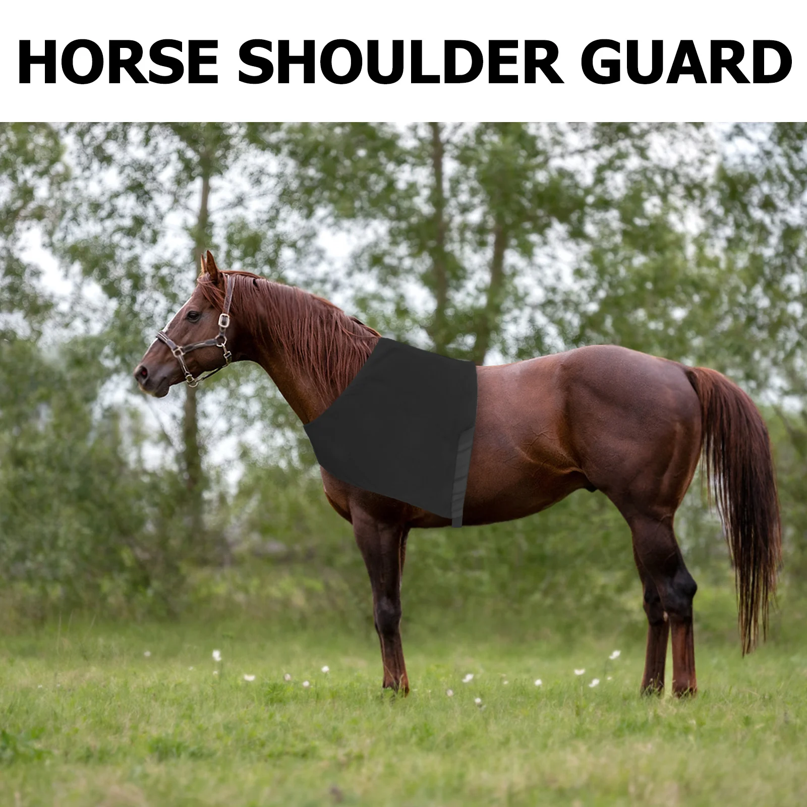 سترة حصان مرنة من الألياف اللدنة لحماية الكتف والرقبة، مريلة خفيفة الوزن ومريحة ومضادة للغضب للتدريب على الفروسية للاستخدام في الهواء الطلق #6