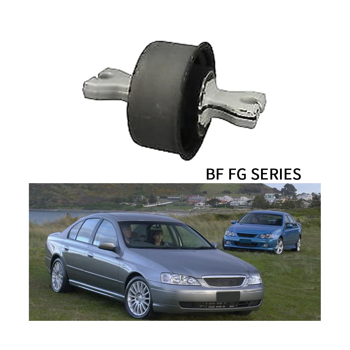 Rear Radius Support Bush Territory Trailing for Ford Falcon Ba Bf Fg Territory Sx Sy Sz 2002-2014 Part Number:SY5A638A