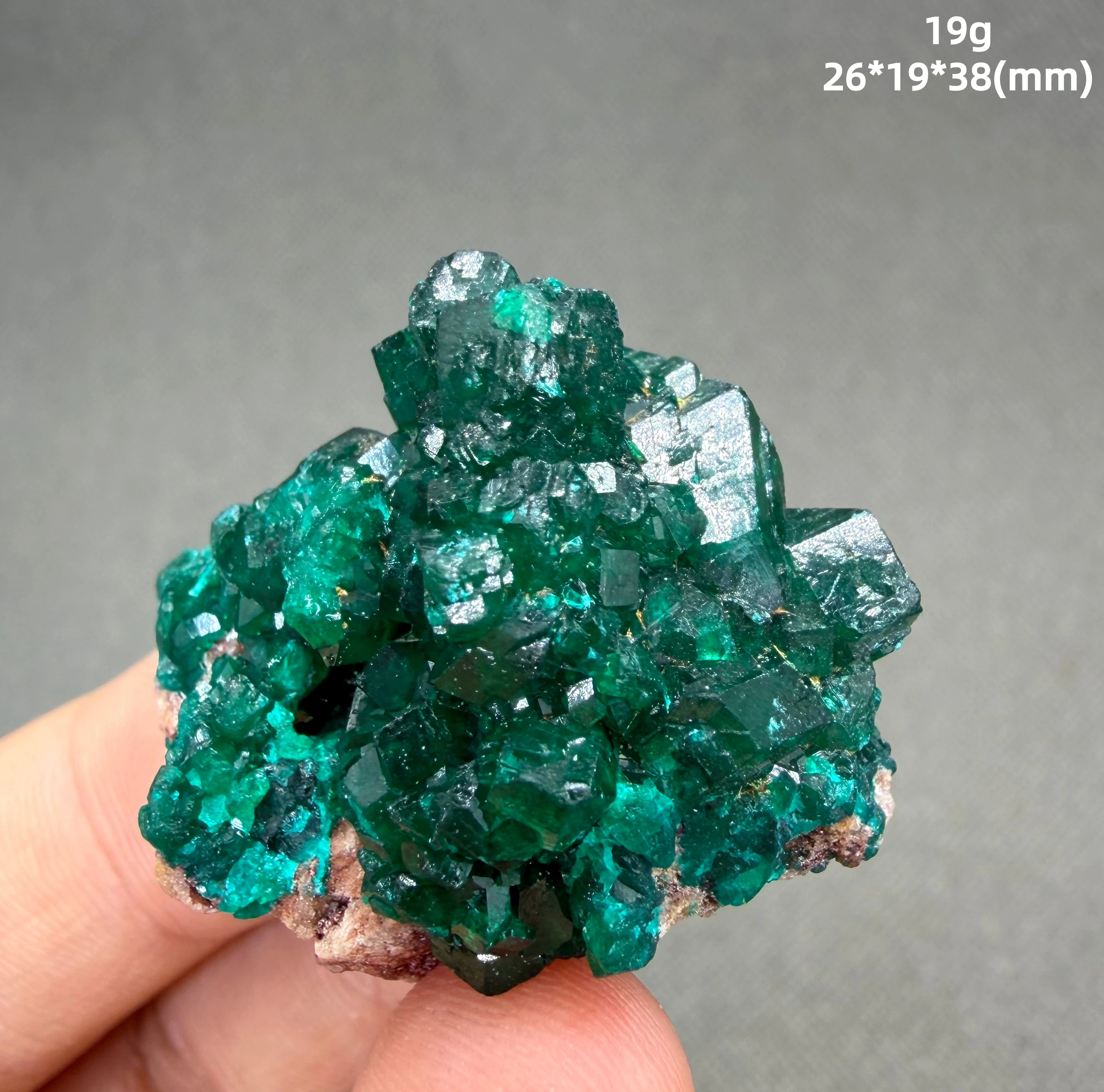 Natural Congolese Dioptase Crystal Cluster Vivid Neon Green Mineral Specimen Rare
