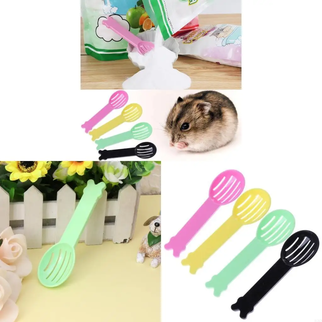 62KD 62KD Hamster Litter Shovel Hollowed Bathing Scooper Cats Litter Scooper - Aliexpress Deal