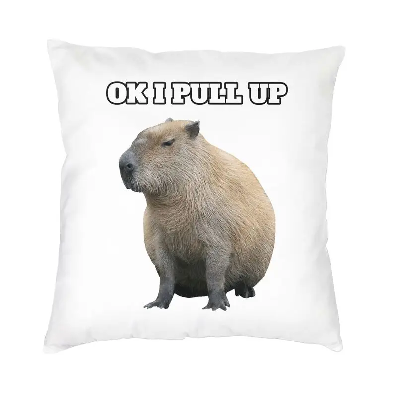 Ok Saya Pull Up Capybara Cushion Cover Two Side 3D Print Animal Pet Floor Pillow Case for Living Room Pillowcase Home Decorative