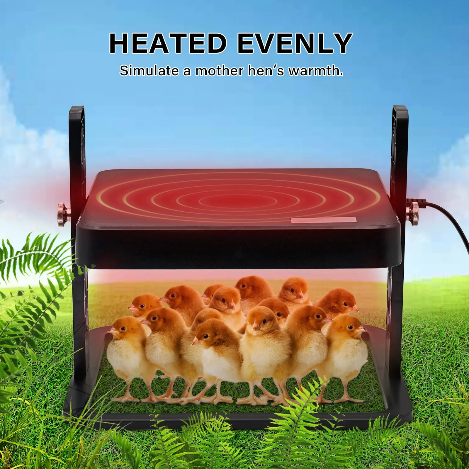 New Dual Side Bird Brooder Home Leopard Brooding Pavilion Constant Temperature Equipment