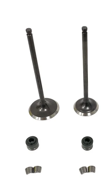 صمام عادم محرك الدراجة النارية الذي لا تشوبه شائبة ومجموعة صمامات السحب مع لوحة قفل ختم الزيت صمام جديد تمامًا لـ Huayang HX 200 ATV #2