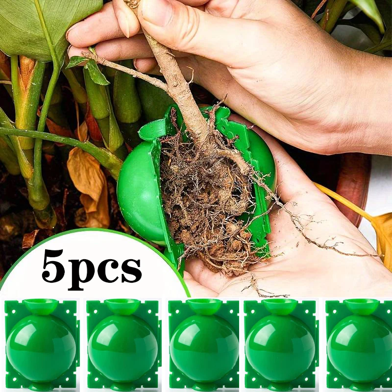 5pcs 5cm Plant Rooting Growth Balls Growing Box Reusable Plant Rooting ball Breeding Equipment Garden Supplies