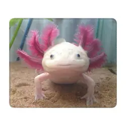 Smiling Leucistic Axolotl Gamer Mouse Pad Anti-Slip Rubber Base Mousepad Salamander Animal Office Decor Computer PC Table Mat