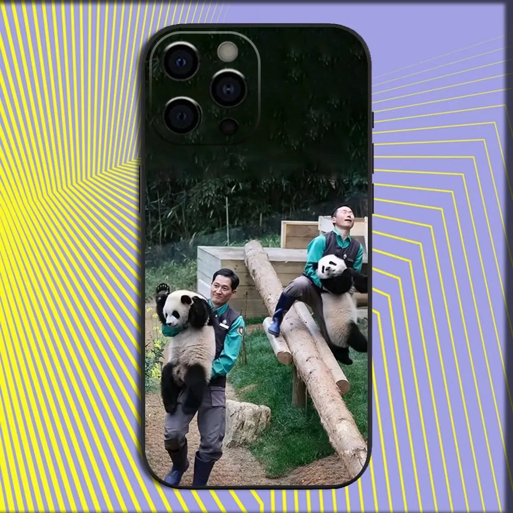 Funny Fubao Panda Phone Case For iPhone 16,15,14,13,12,11,Pro,X,XS,Max,XR,Plus,Mini Soft Black Cover