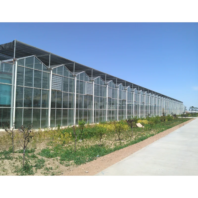 

Intelligent Glass Agricultural Greenhouse Solar Panel Covered Multi-Span Strawberry Greenhouse with Vertical Hydroponic System