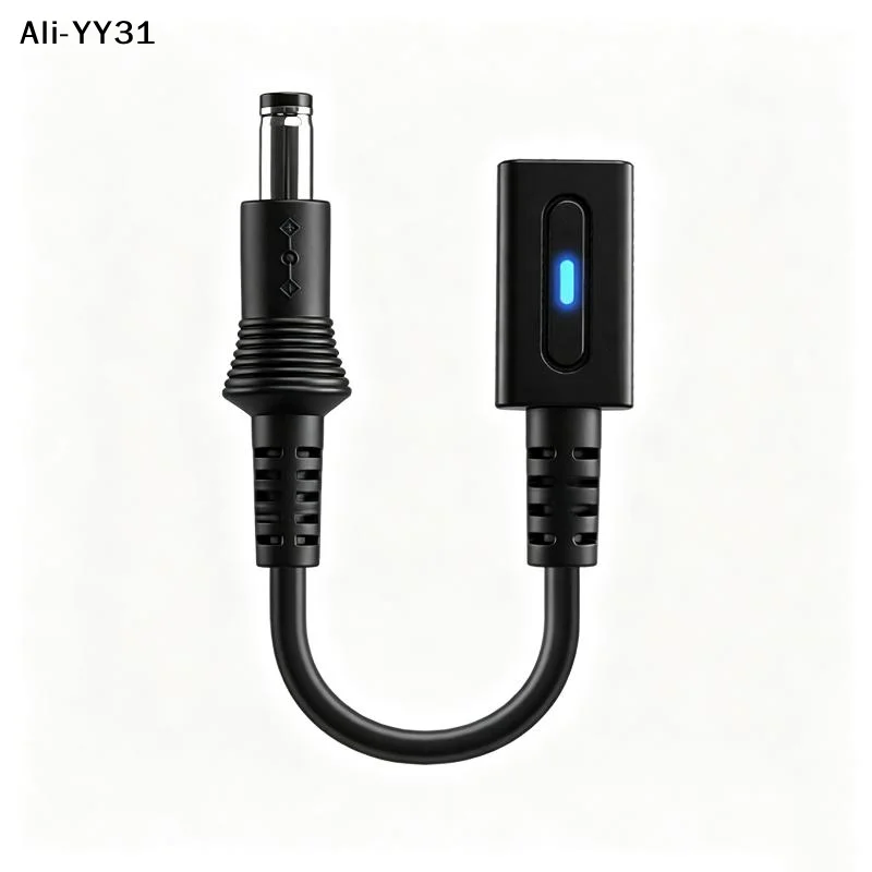 【AY]PD 9V USB C to DC 5.5x2.1mm Center Negative Power Cable For Famicom SFC MD1 Genesis1 PCEngine US NES Retro Game Console