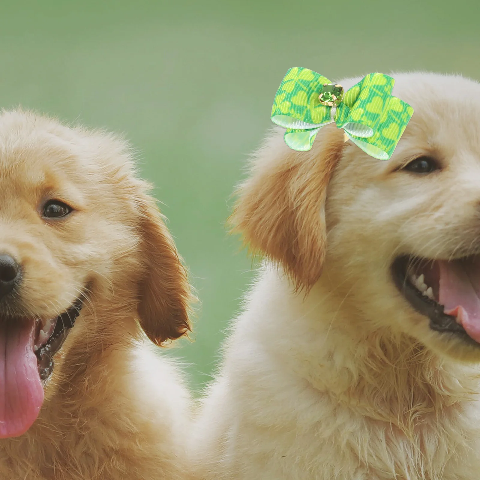 

10Pcs Pet Rubber Band St Patrick's Day Puppy Bows Elastic Hair Tie Dog Hair Accessories Small Dog Hairbands Pet Rubber Band