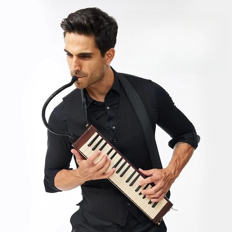 37-Key Harmonica Pr… - image