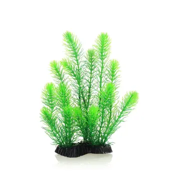 12 最佳銷售 水族箱種子 - №12