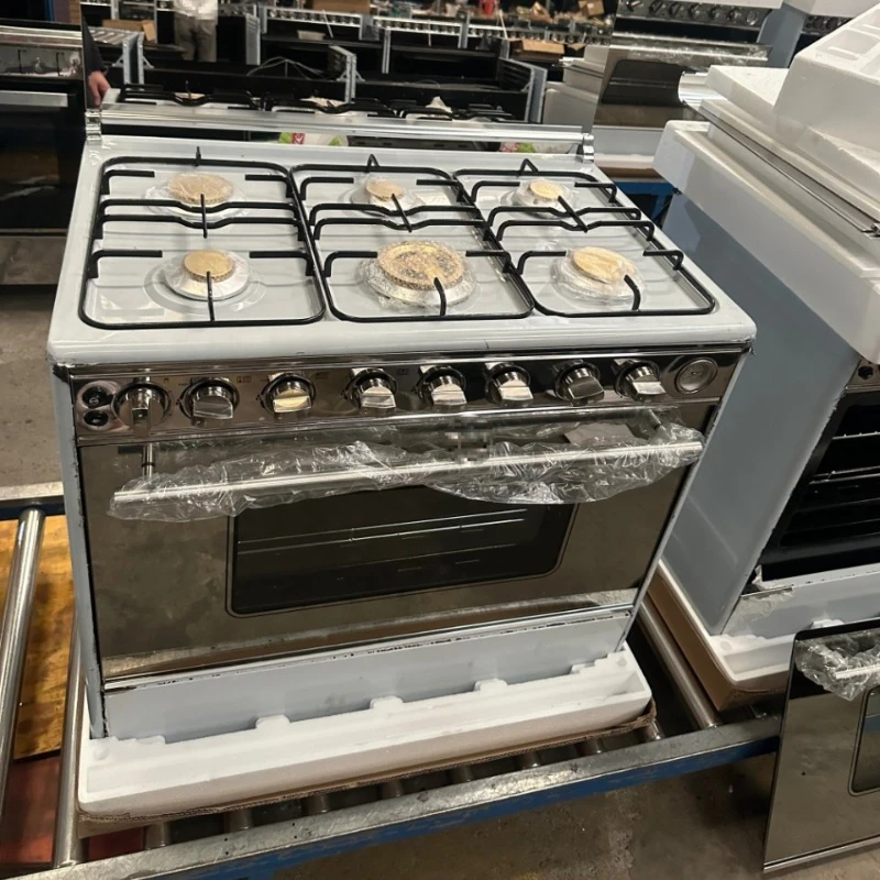 CZ Built-in Oven Vertical Convection Range 6 Burners Gas Stove 900mm Wide Multi-Functional