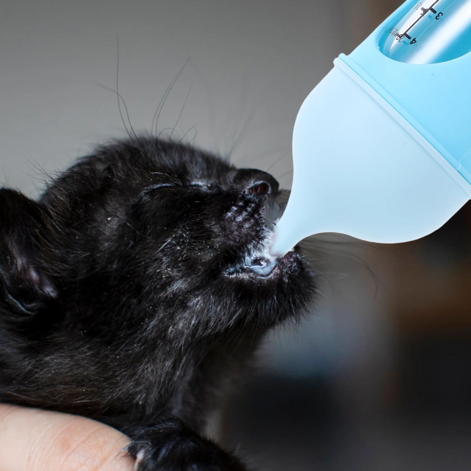 

Pet Nursing Bottle Milk Feeder Newborn Kittens Puppies Portable Mini Feeding Bottle Visible Scale Compact Lightweight 20ml