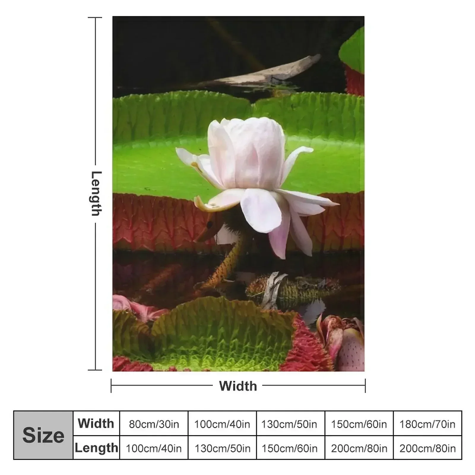 The Centerpiece Throw Blanket Bed Fashionable Blankets Sofas Of Decoration blankets and throws Sofa Throw Blankets