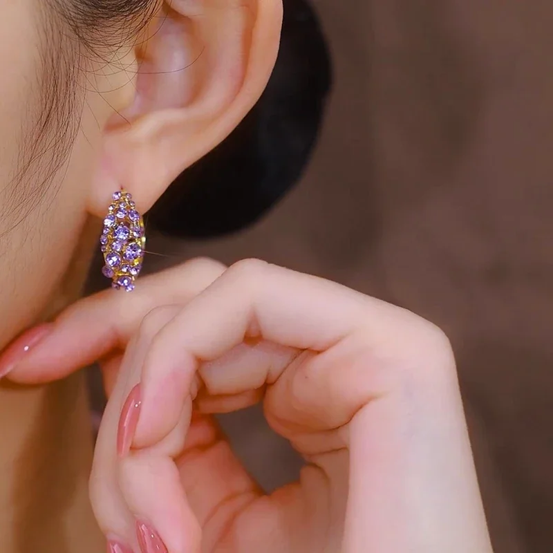 2024 Retro Purple Zircon Hollow Hoop Earrings for Women New Fashion Trend Exquisite Elegant Ladies Wedding Premium Party Jewelry