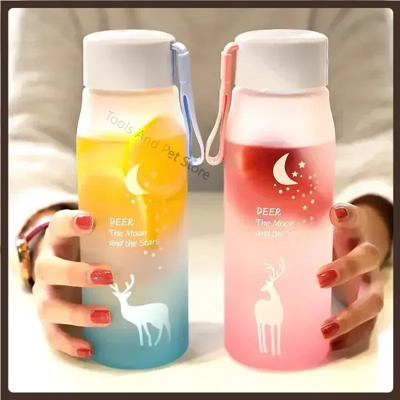 

Small Daisy Transparent Plastic Water Bottles BPA Free Creative Frosted Water Bottle with Portable Rope Travel Tea Cup 401-500ML