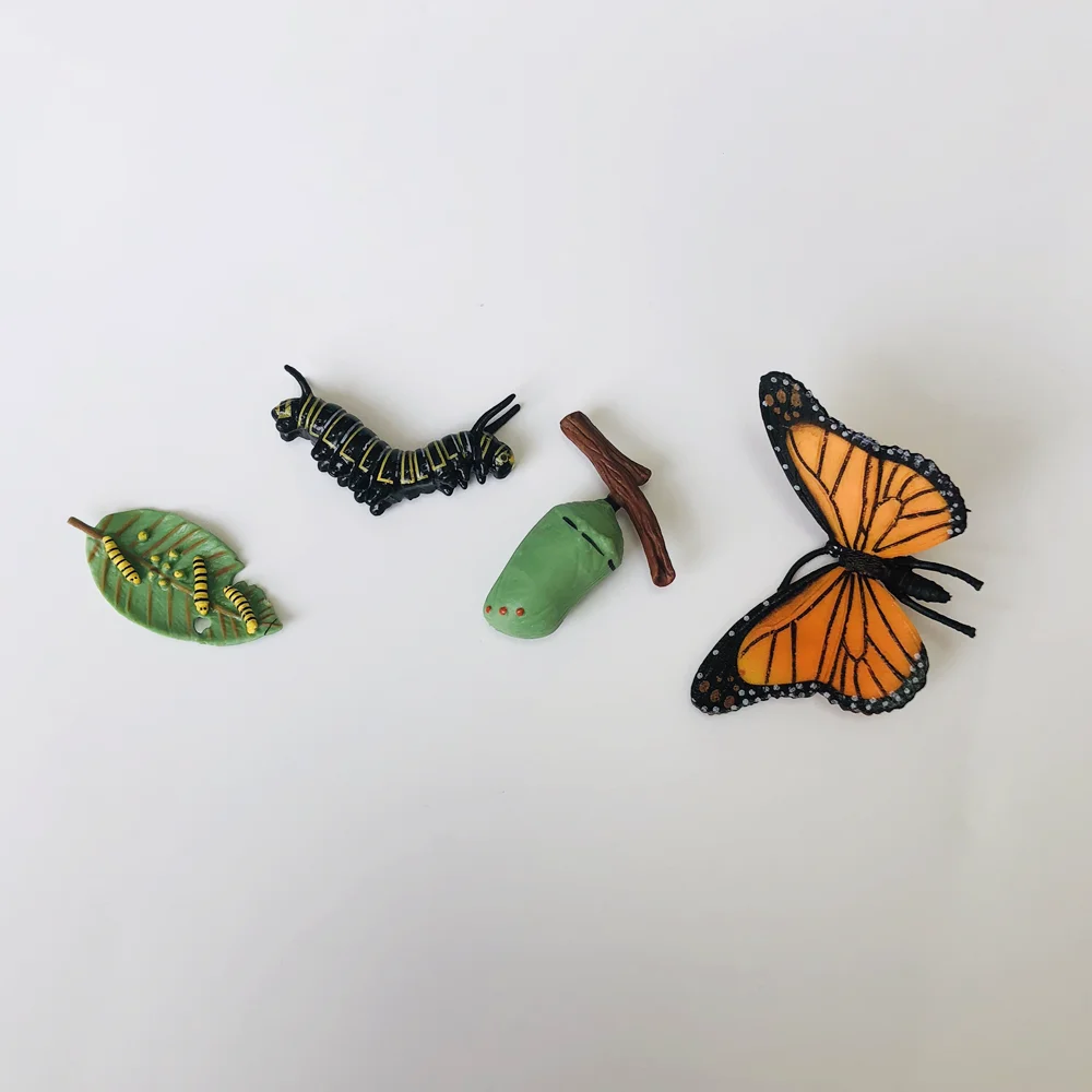 Ciclo de vida da borboleta jogo de ciclo de crescimento com cartões cognitivos montessori brinquedos educativos materiais de biologia ferramentas de aprendizagem precoce