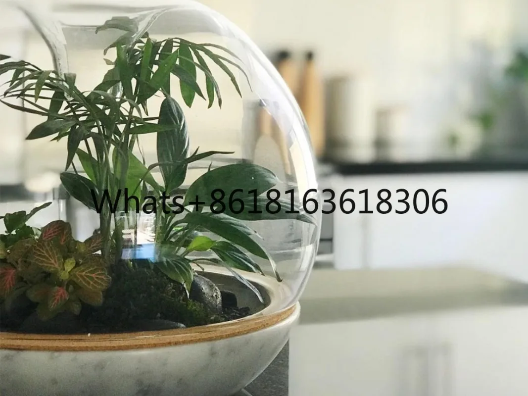 Geonature Dome Geometric Natural Large Micro Landscape Bottle Marble Bottom Simple