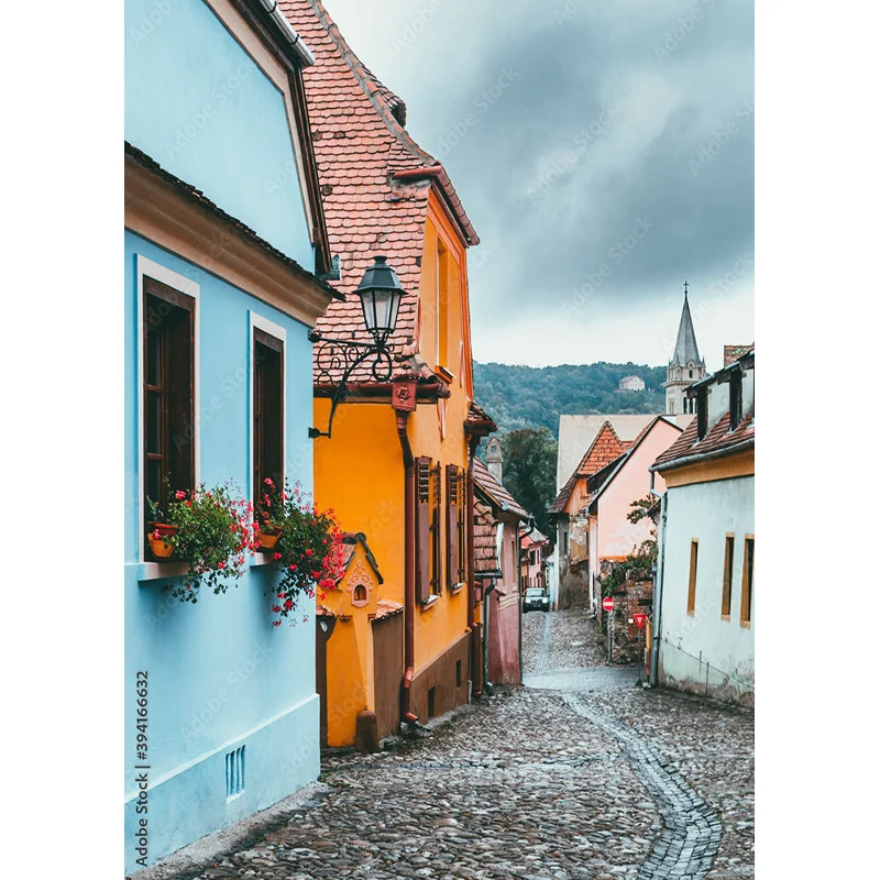 Vintage European Street View Scenery Photography Backdrops Props Wedding Portrait Photo Backgrounds Studio 211229 JJD-09