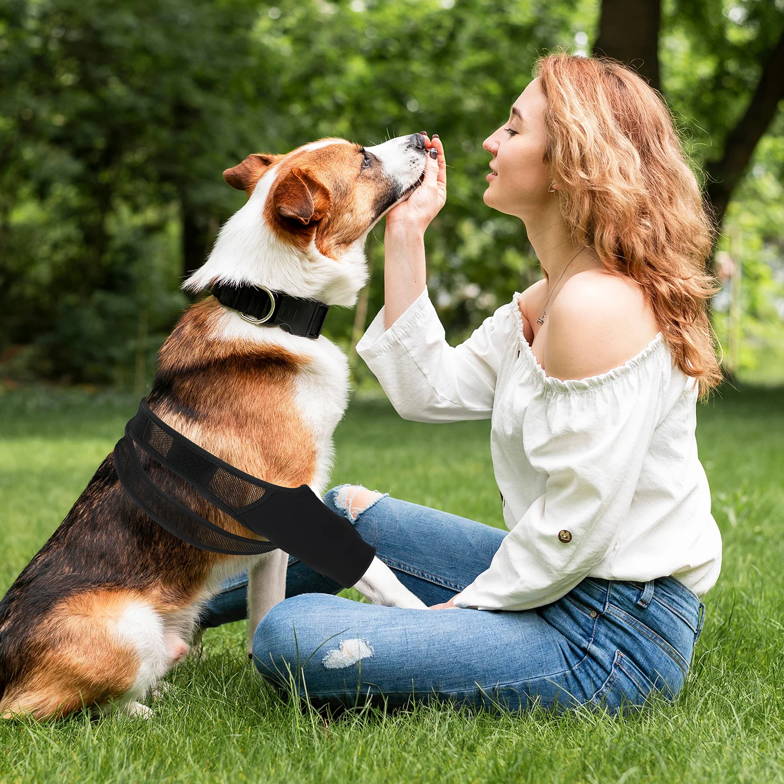 

Dog Knee Brace Pet Leg Support For Injured Puppy Joint Protection Warm Neoprene Sleeve Recovery Aid For Senior Dogs