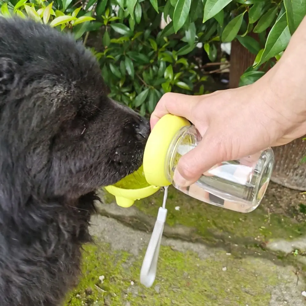 Thumbnail 3 - #69 Best Portable Dog Water Bottles to Buy In 2026